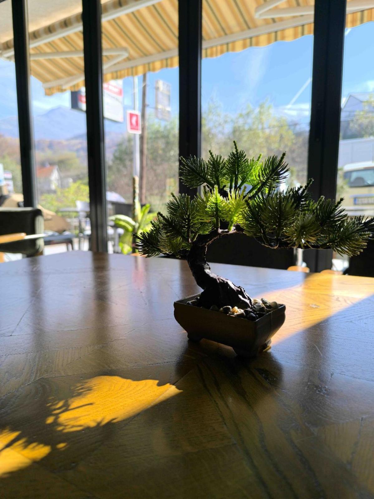 Mountain House - Brezovica Apartment Ngoại thất bức ảnh